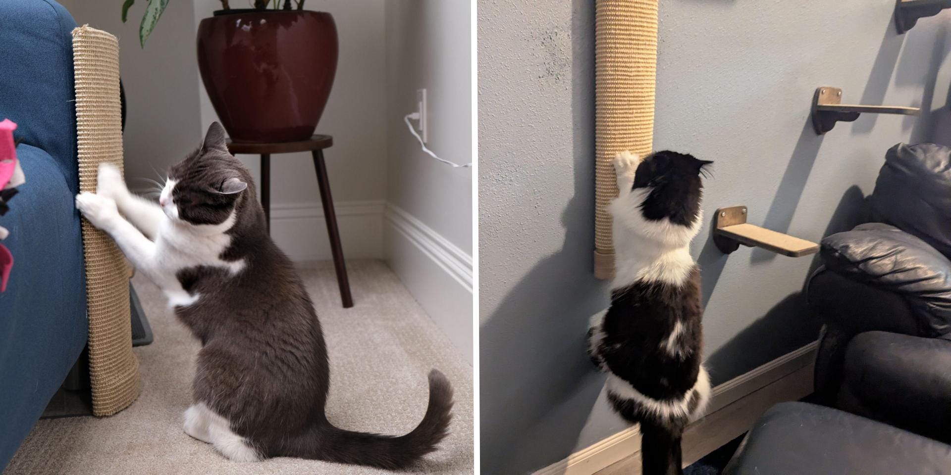A side-by-side image of a gray and white cat scratching a sisal post that's flush against the arm of a sofa and a black and white cat hanging from a sisal wall scratcher that's mounted beside a sofa.