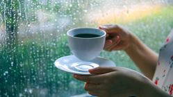 Prakiraan cuaca BMKG Purbalingga hari ini, Selasa 23 Desember 2025, sebagian wilayah hujan ringan