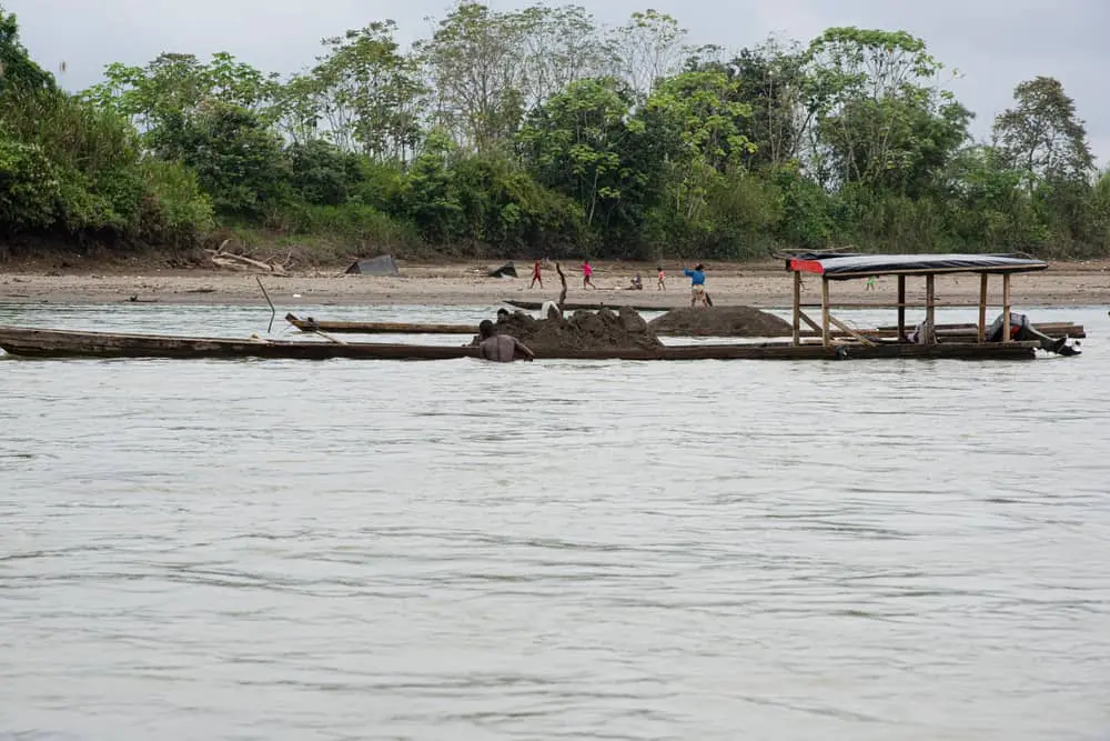 Vida marinha está sendo destruída em virtude da dragagem excessiva de areia