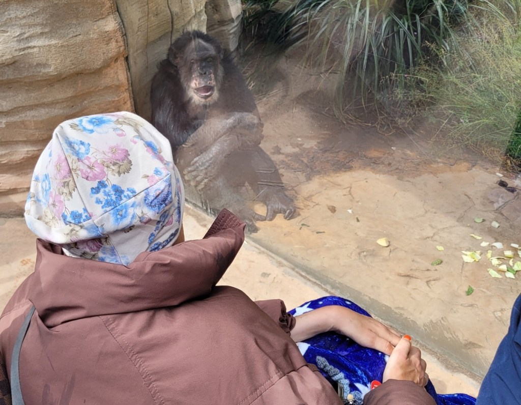 Plötzlich passiert es.