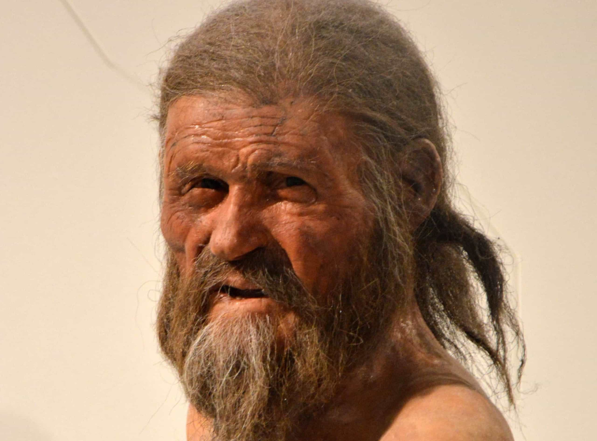 Faszinierende Entdeckungen im Eis: Was Forscher fanden