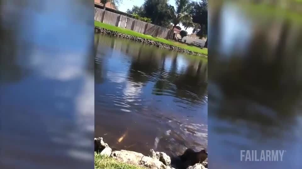 Poor Cameraman | The Best POV and Camera Fails by FailArmy