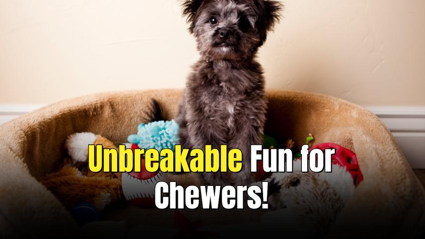 A closer look at Durable Dog Crate Toys For Heavy Chewers
