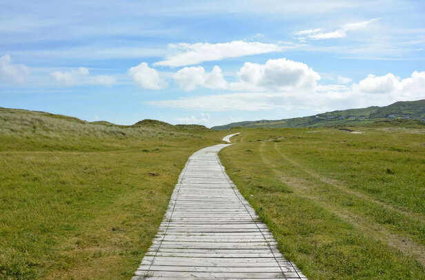 Your lived experience is the path to understanding.