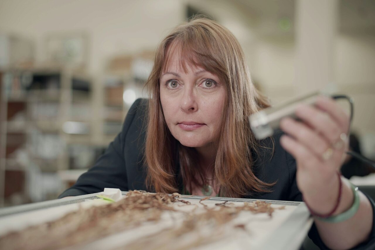 The Inca string code that reveals Peru's climate history