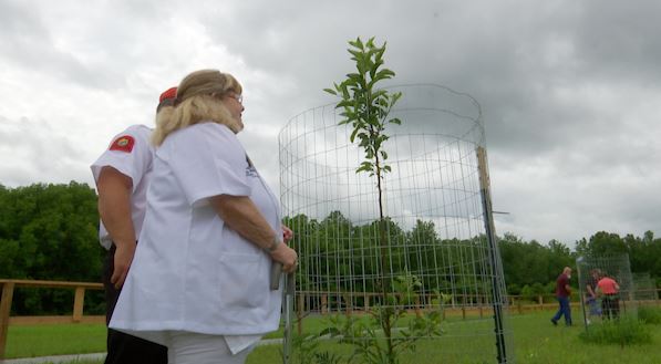 Memorial for post 9/11 servicemen and women opens in Buffalo