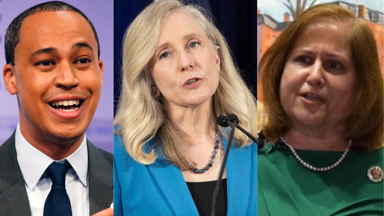 Virginia Democrats round out ticket in key off-year election