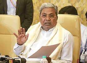Fearing mango farmers' ire over MSP, Karnataka Cabinet meeting