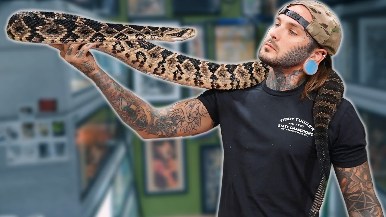 Deadly Surprise: Snake Inside Residential Complex