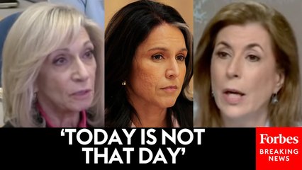 Tammy Bruce Shuts Down NBC’s Andrea Mitchell When She Asks About