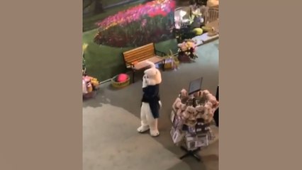 Spring’s Greatest Fails