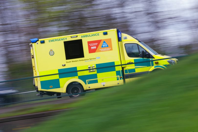 What is rabies, how does it spread, and how common is the deadly virus?