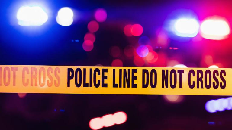 ‘Self-preservation was more important than a human life’: LAPD sergeant ...