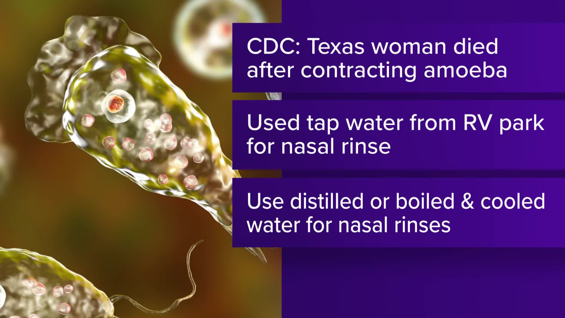 Texas woman dies from braineating amoeba after using tap water in(00)