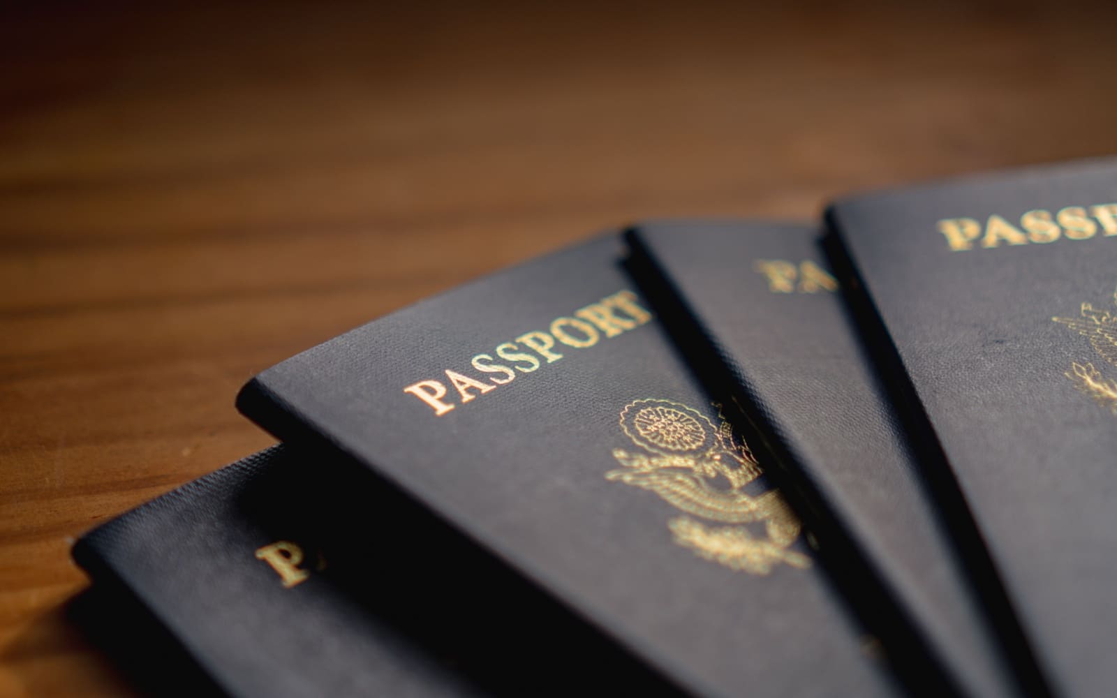 Passport Timeline—How Long Does Processing Take In 2025?
