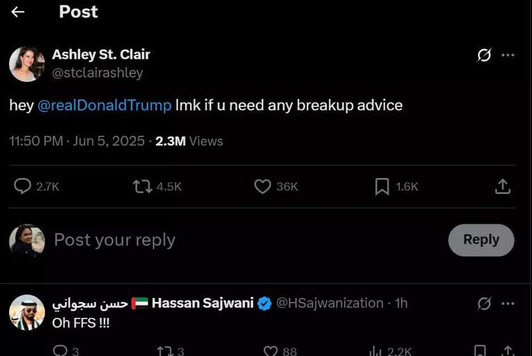 Elon Musk’s baby momma Ashley Clair joins the public fight between Elon ...