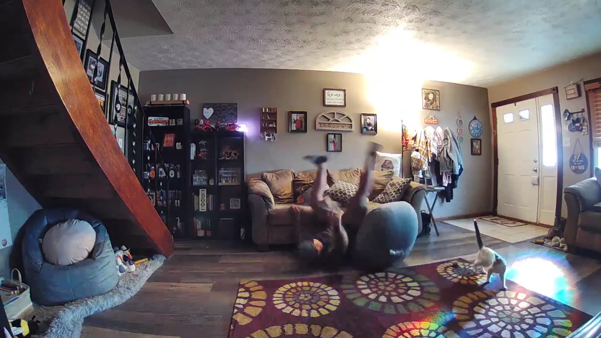 Security Camera Fails