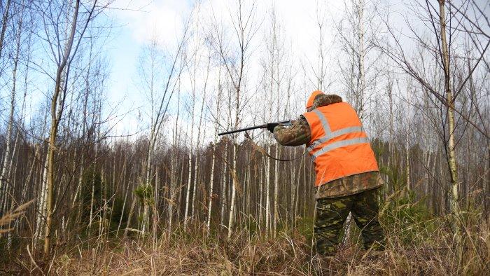 Cintura Portacartucce Per Fucile – Nylon, 27 Colpi, Cinghia Regolabile Per Caccia E Airsoft