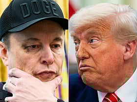 'Trump is in the Epstein files': Elon Musk reignites Trump conspiracy