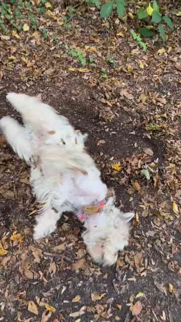 Snacks, Naps, and Stealing Hearts