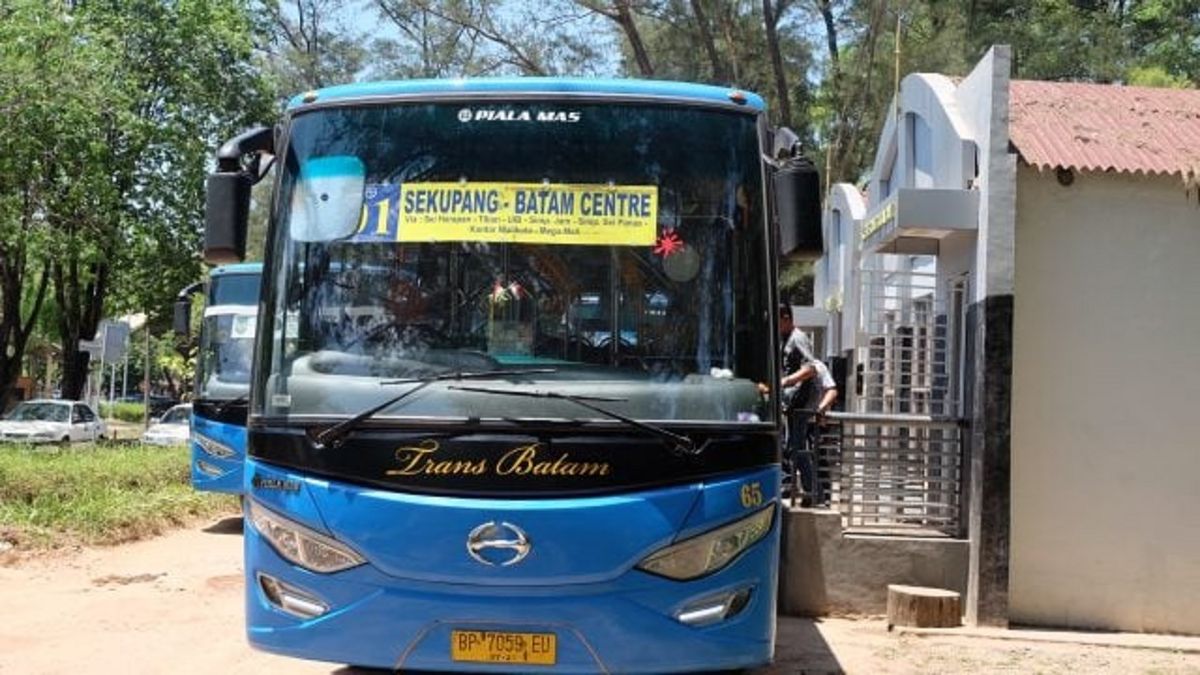 Trans Batam Koridor 1: Jadwal, Halte, dan Tarif Terbaru 2026