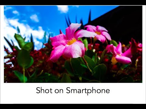 5 Tips for Taking Incredible Photos on a Smartphone