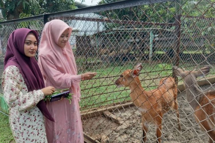 Banyak "event", Taman Safari Semarang jadi pilihan liburan tahun baru