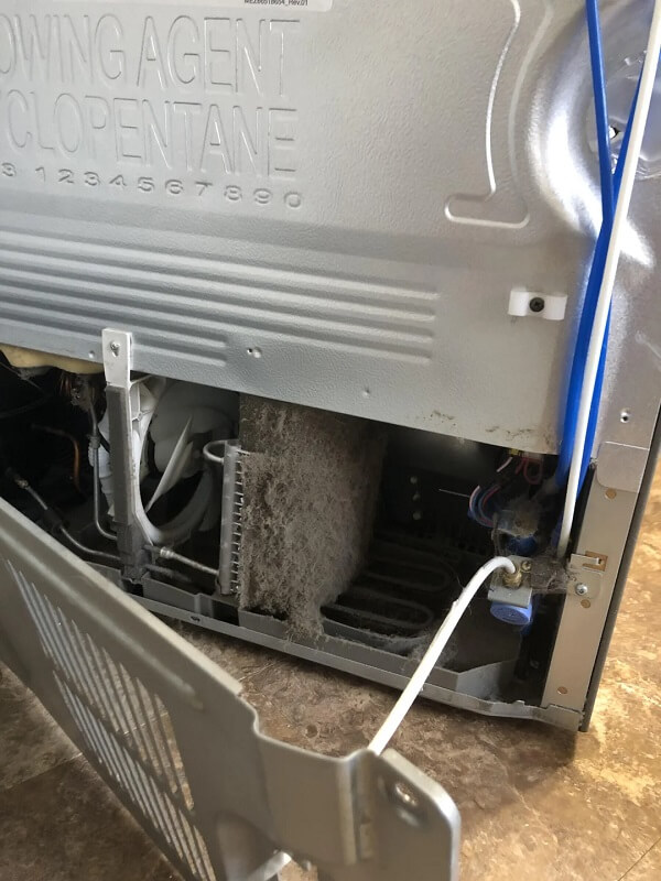 New homeowner stunned after removing back panel of refrigerator