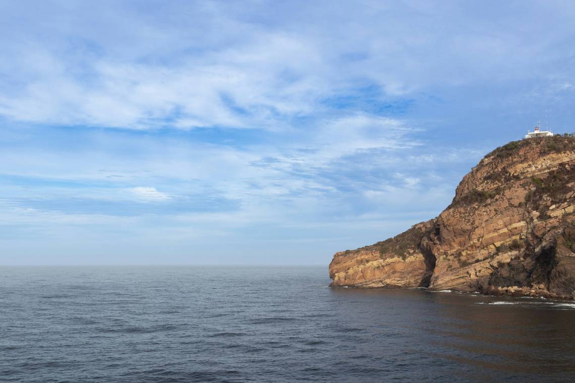 Divers try to rescue whale entangled in rope - with a shark in tow ...