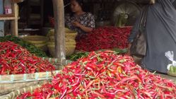 Harga sembako Ngawi, cabai rawit merah paling mahal ketiga di Jatim