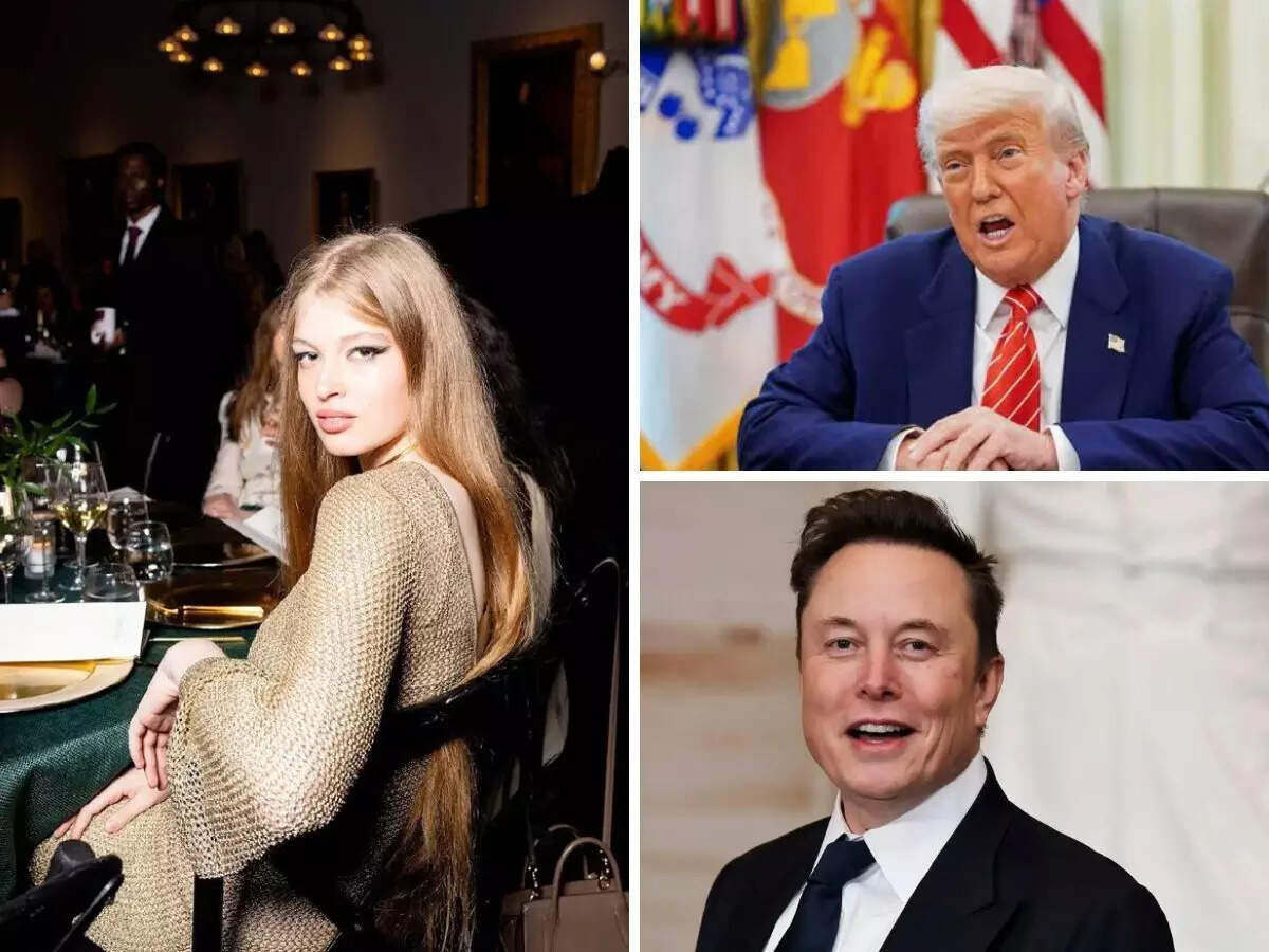 Elon Musk’s estranged daughter Vivian revels in his rift with US
