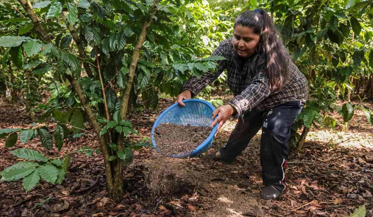 Fin de las APPA en Antioquia: Gobierno levanta restricciones sobre 103. ...