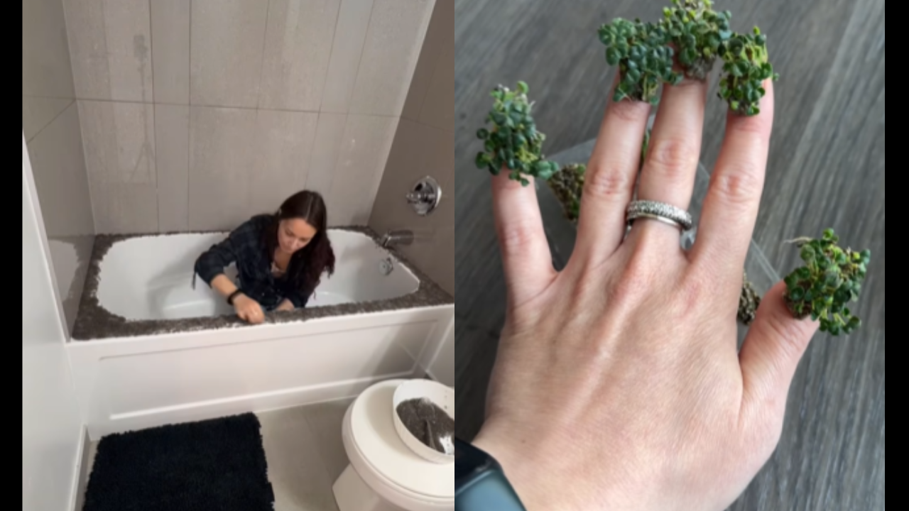 Woman Grows Chia Seeds All Over Her Bathroom; Is Confused