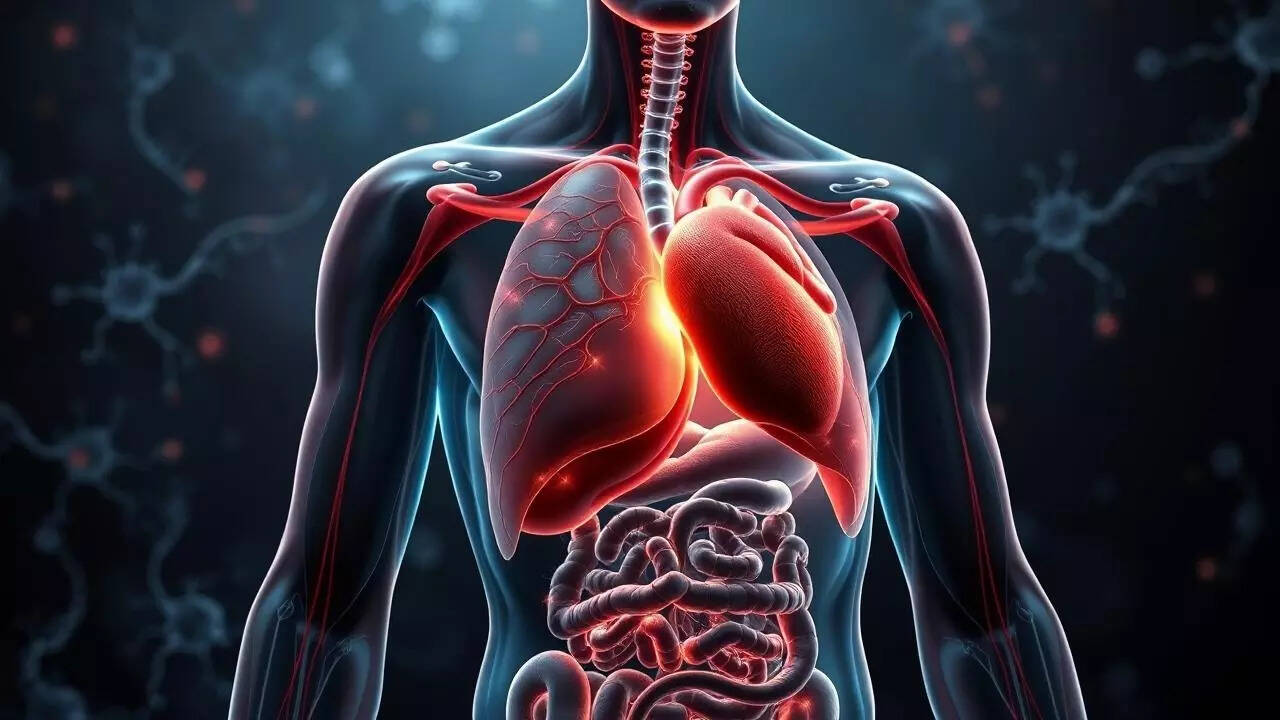 10 Mindblowing Facts About The Human Body You Didn’t Learn In School