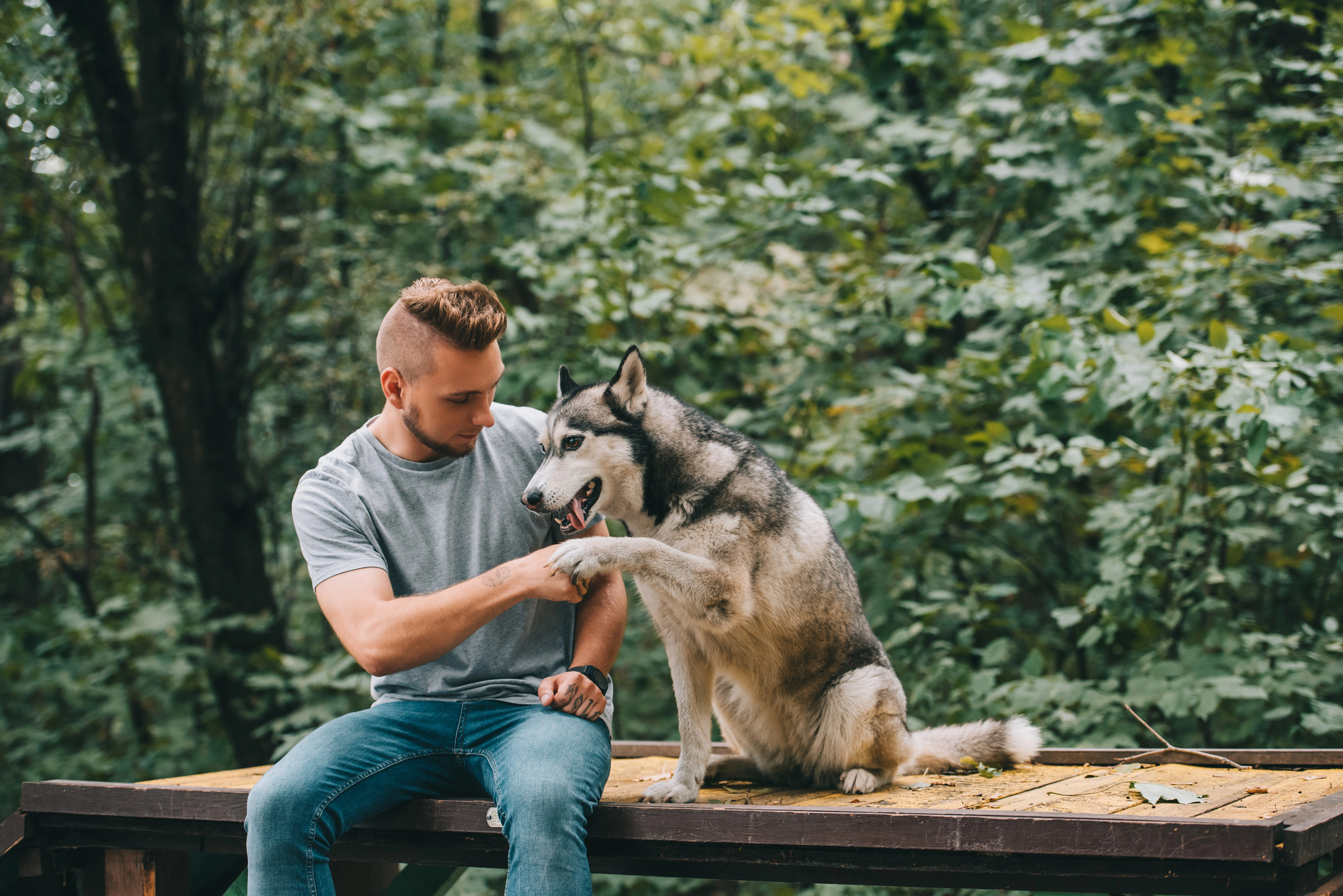 15 Pet Training Tips Every Owner Needs