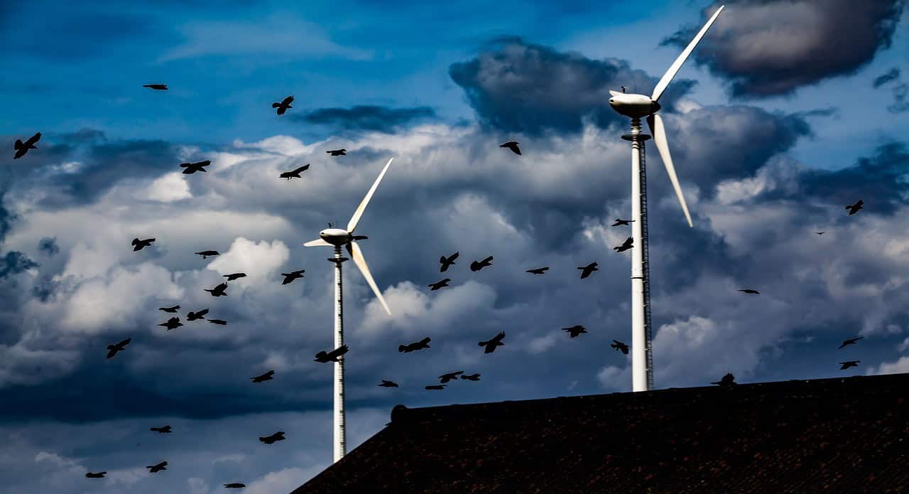 How Animal Migration Is Quietly - AA1Gh1um.img