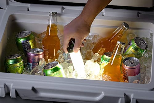 55 Weird Things For Your Backyard Skyrocketing In Popularity On Amazon