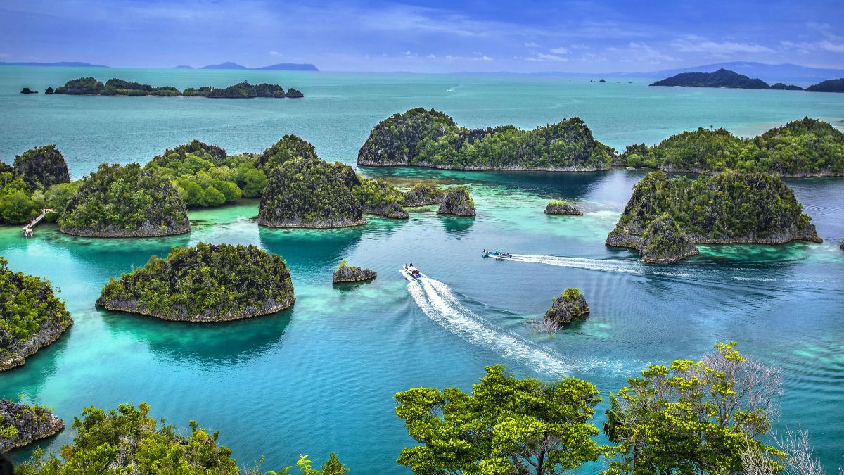 Potensi Pelanggaran Hukum di Tambang Raja Ampat, KLHK Akan Investigasi