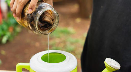 No las tires: por qué recomiendan poner las cáscaras de la banana en un frasco de agua