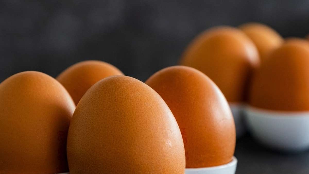 1.7 Million Eggs Recalled Across 9 States Due to Salmonella Risk
