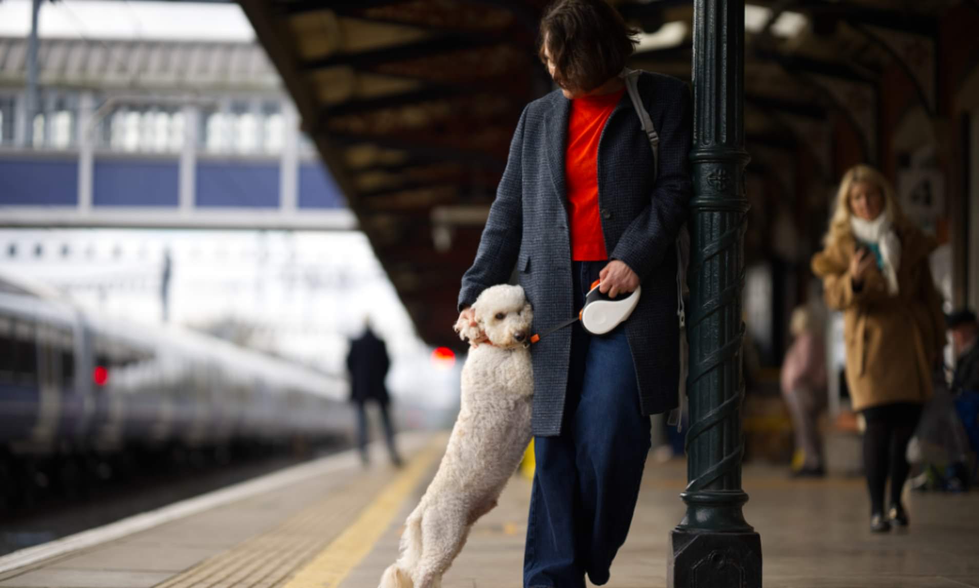 Almost half of all pet owners have CANCELLED a holiday to stay with