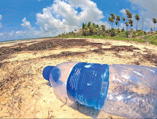 Océanos se han visto muy afectados por los plásticos