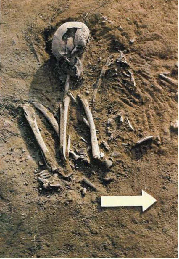 6,000-year-old mystery skeletons could rewrite human h
