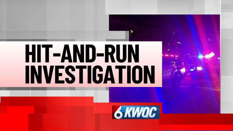 Police say driver left after crashing into utility pole, sagging lines ...