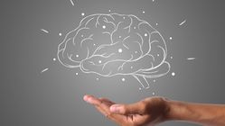 Peran Penting Ikan Laut dalam Diet Sehat: Sumber Protein Terbaik untuk Otak dan Jantung