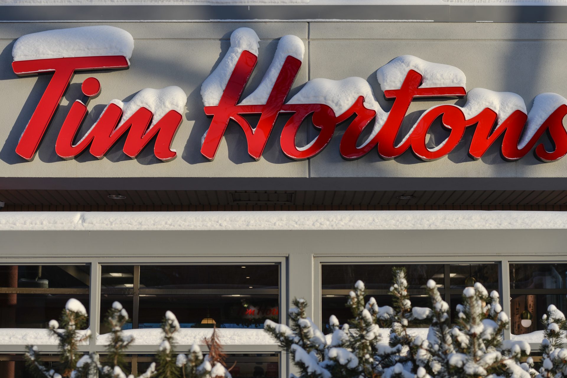 AA1GkpwO.img?w=800&h=435&q=60&m=2&f=jpg