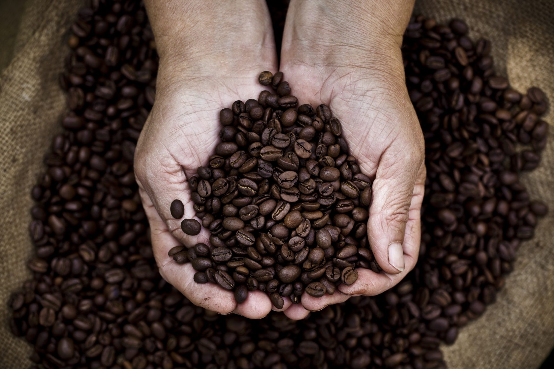 AA1GkwzA.img?w=800&h=435&q=60&m=2&f=jpg