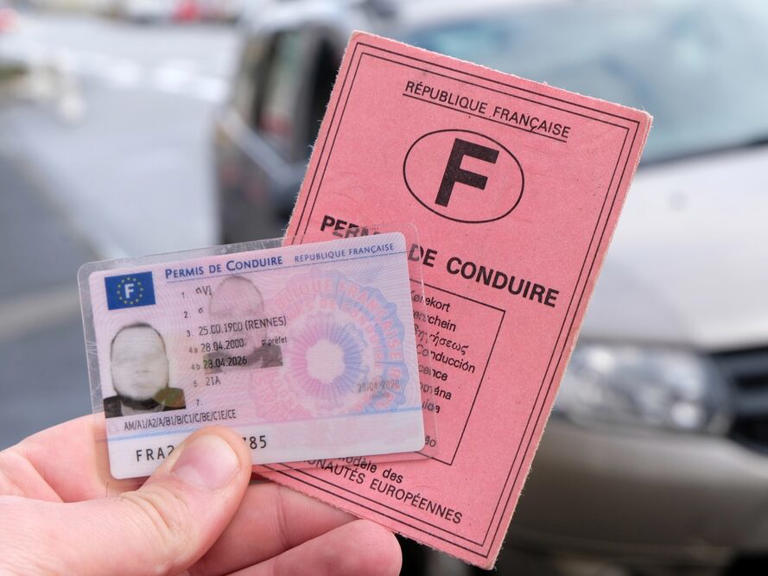 Permis de conduire papier rose : La fin du permis rose est programmée à ...