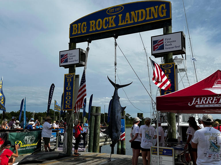 Competition now underway at 67th annual Big Rock Blue Marlin Tournament