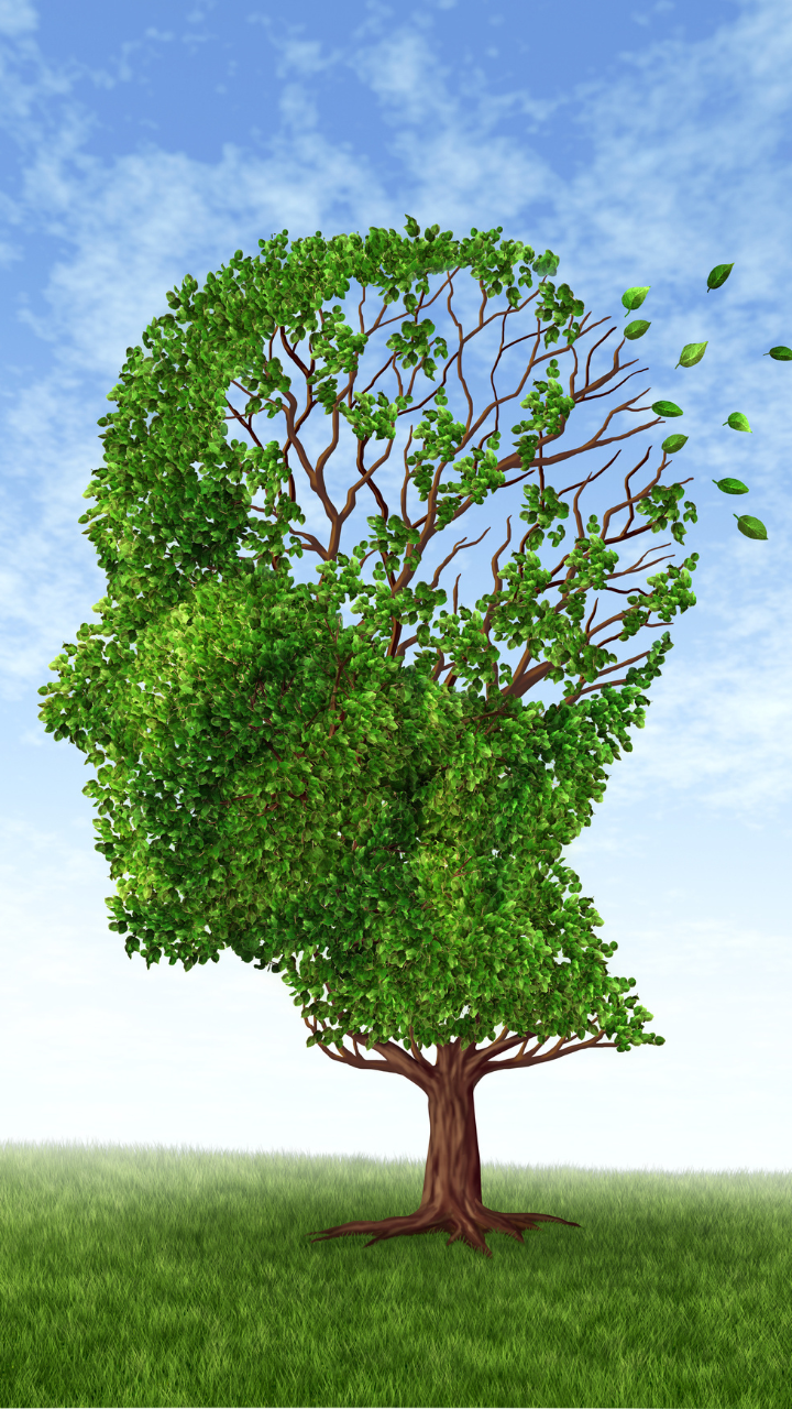 8 foods that help improve brain function and memory